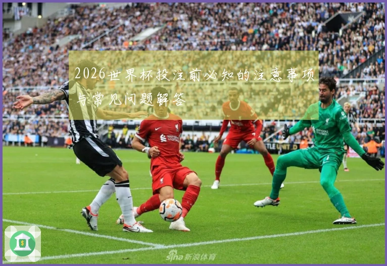 2026世界杯投注前必知的注意事项与常见问题解答