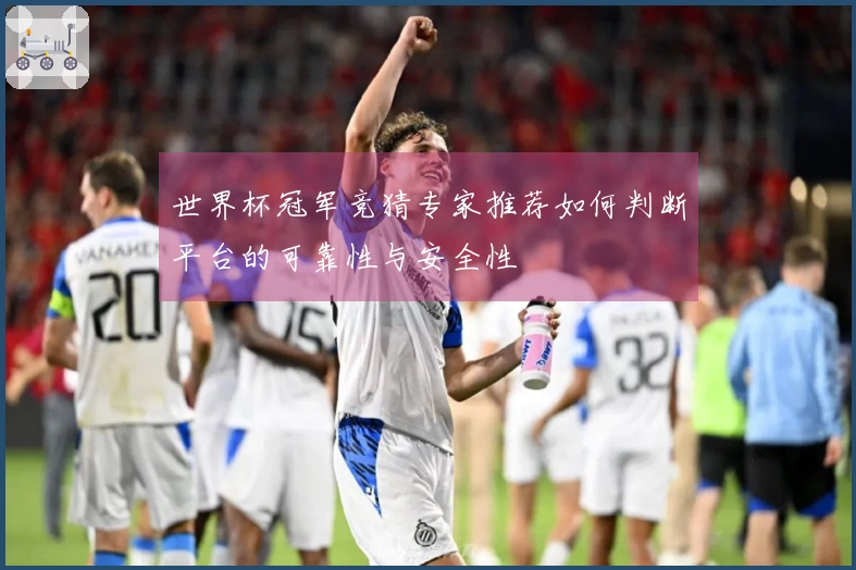 世界杯冠军竞猜专家推荐如何判断平台的可靠性与安全性