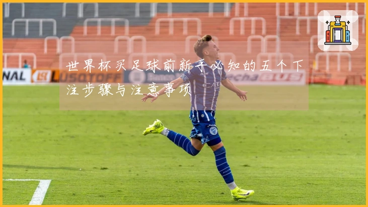 世界杯买足球前新手必知的五个下注步骤与注意事项