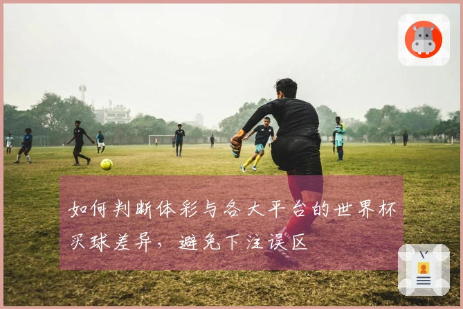 如何判断体彩与各大平台的世界杯买球差异，避免下注误区