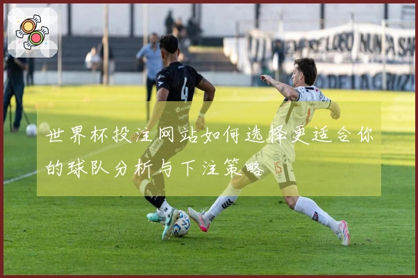 世界杯投注网站如何选择更适合你的球队分析与下注策略