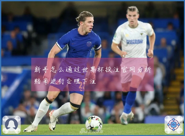 新手怎么通过世界杯投注官网分析赔率进行合理下注