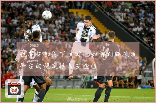 世界杯如何下注时，如何判断投注平台的稳定性与安全性