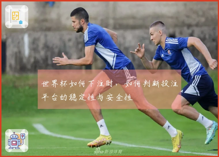 世界杯如何下注时，如何判断投注平台的稳定性与安全性