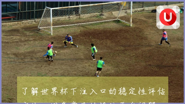 了解世界杯下注入口的稳定性评估方法，避免常见的投注平台问题