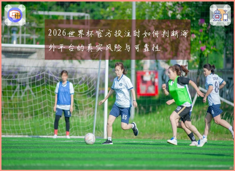 2026世界杯官方投注时如何判断海外平台的真实风险与可靠性
