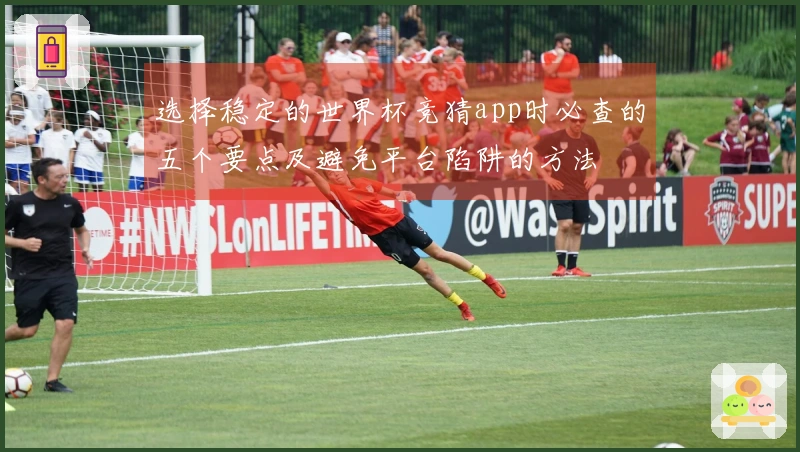 选择稳定的世界杯竞猜app时必查的五个要点及避免平台陷阱的方法
