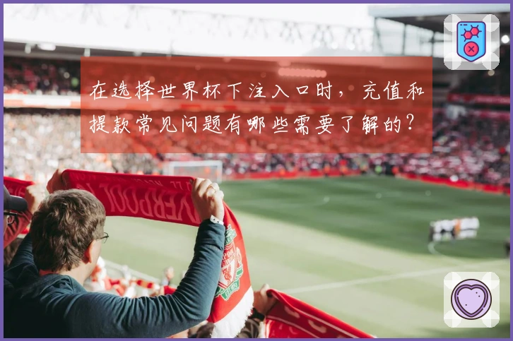 在选择世界杯下注入口时，充值和提款常见问题有哪些需要了解的？