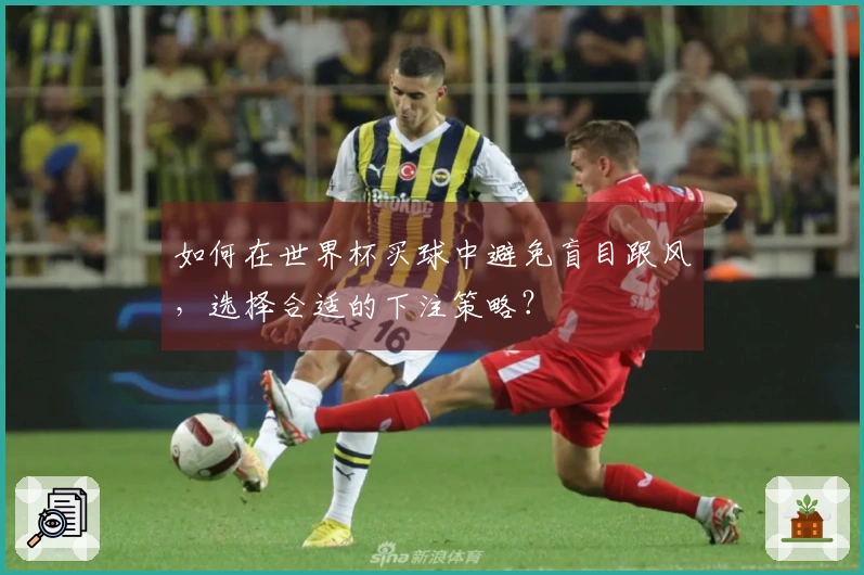 如何在世界杯买球中避免盲目跟风，选择合适的下注策略？