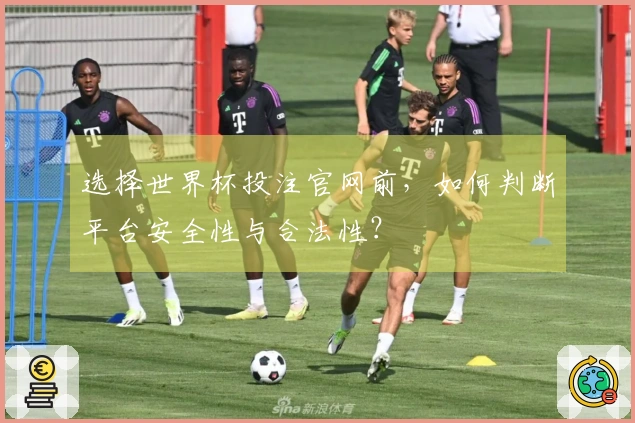 选择世界杯投注官网前，如何判断平台安全性与合法性？