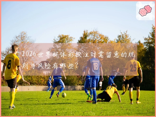 2026世界杯体彩投注时需留意的规则与风险有哪些？
