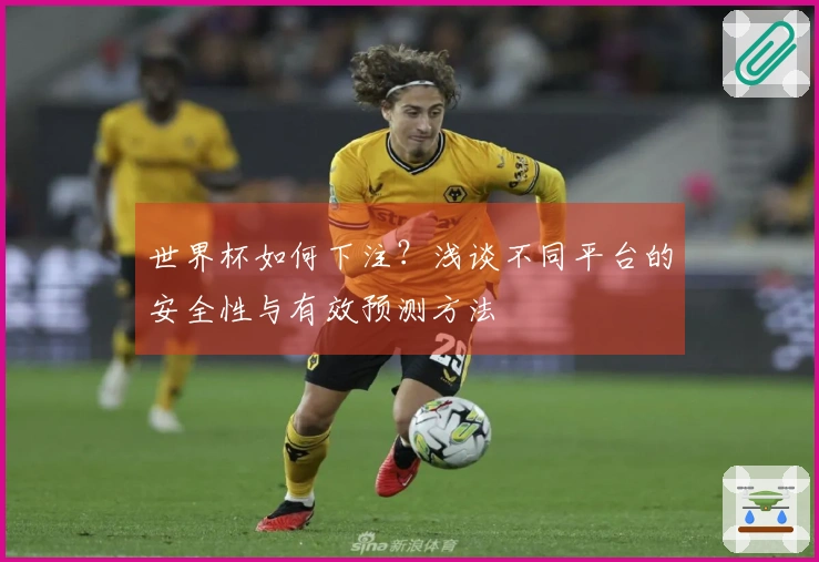 世界杯如何下注？浅谈不同平台的安全性与有效预测方法
