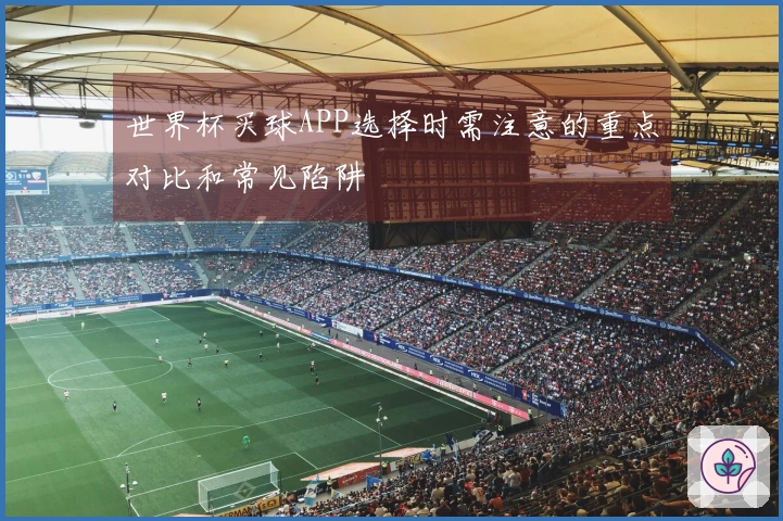 世界杯买球APP选择时需注意的重点对比和常见陷阱