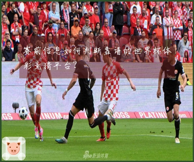 赛前信息如何判断靠谱的世界杯体彩竞猜平台？