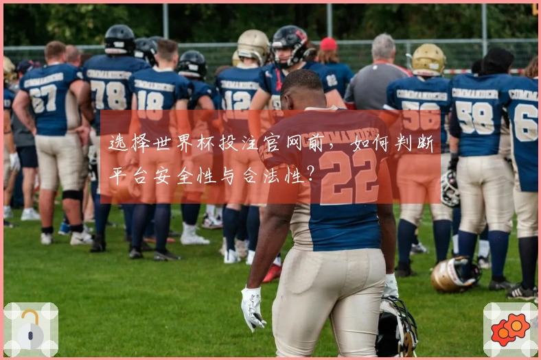 选择世界杯投注官网前，如何判断平台安全性与合法性？