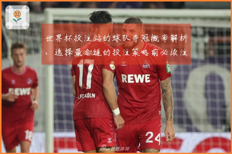 世界杯投注站的球队夺冠概率解析，选择最合适的投注策略前必读注意事项
