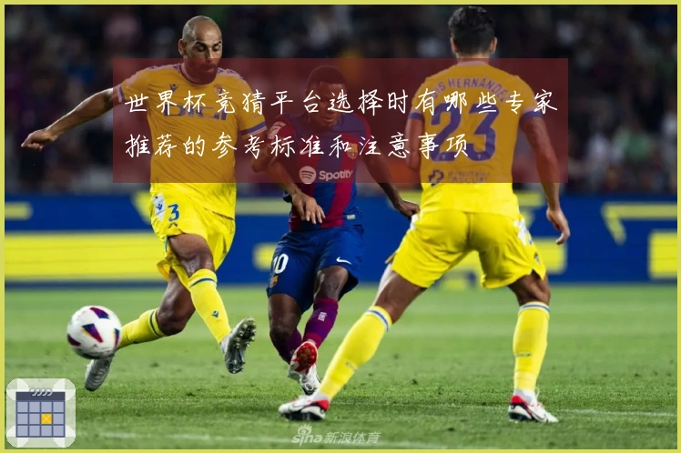 世界杯竞猜平台选择时有哪些专家推荐的参考标准和注意事项