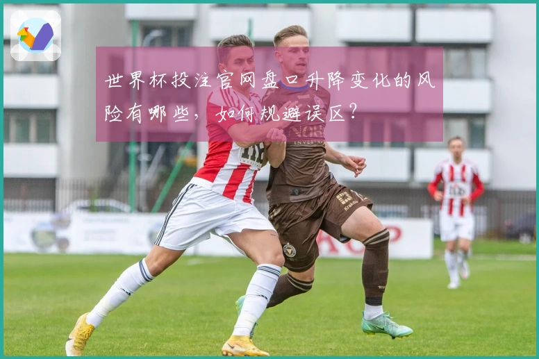 世界杯投注官网盘口升降变化的风险有哪些，如何规避误区？