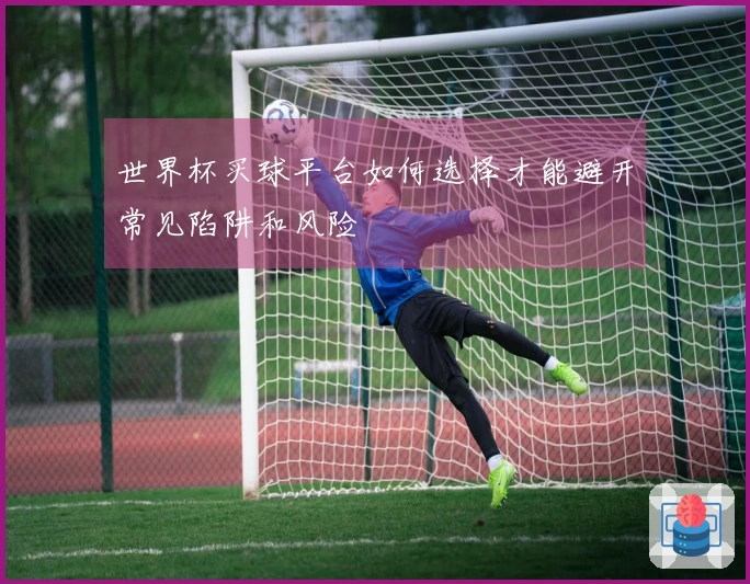 世界杯买球平台如何选择才能避开常见陷阱和风险