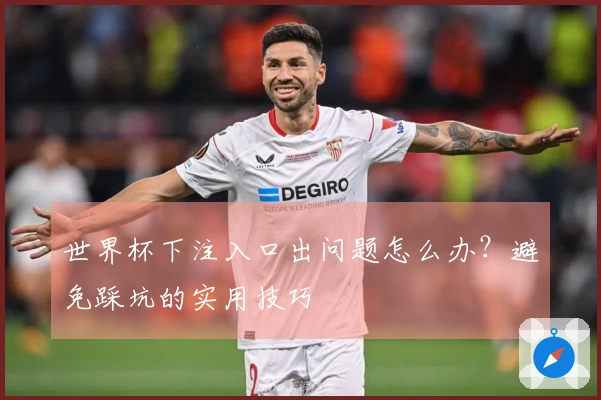 世界杯下注入口出问题怎么办？避免踩坑的实用技巧