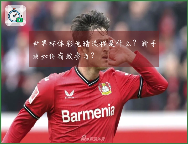 世界杯体彩竞猜流程是什么？新手该如何有效参与？