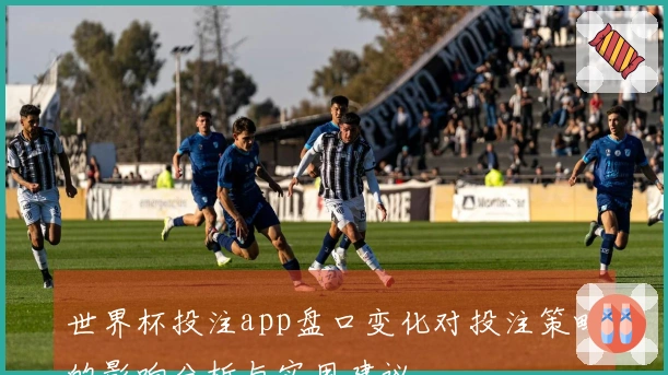 世界杯投注app盘口变化对投注策略的影响分析与实用建议