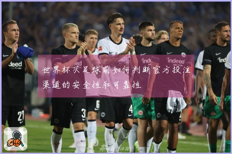 世界杯买足球前如何判断官方投注渠道的安全性和可靠性