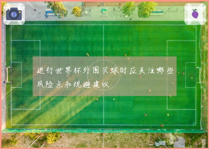 进行世界杯外围买球时应关注哪些风险点和规避建议