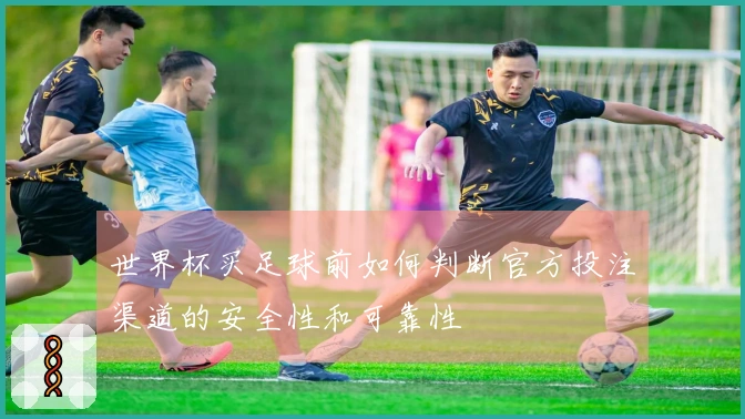 世界杯买足球前如何判断官方投注渠道的安全性和可靠性