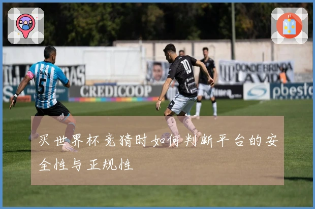 买世界杯竞猜时如何判断平台的安全性与正规性